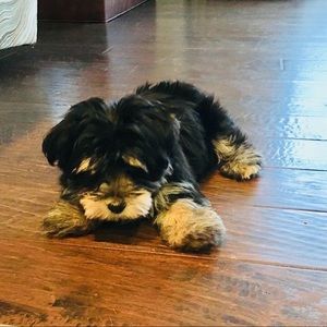 Meet your Posher, Olivia